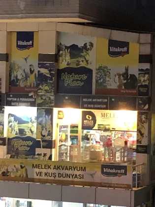 Melek Akvaryum Melek Akvaryum