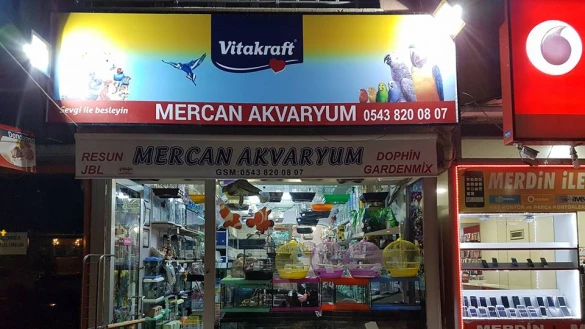 Mercan Akvaryum Mercan Akvaryum