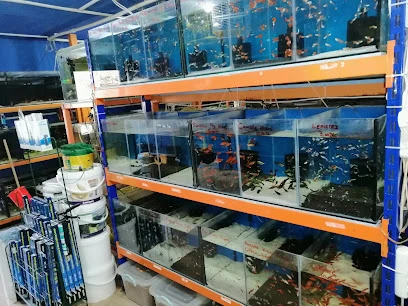 Mr Faruk Petshop Mr Faruk Petshop