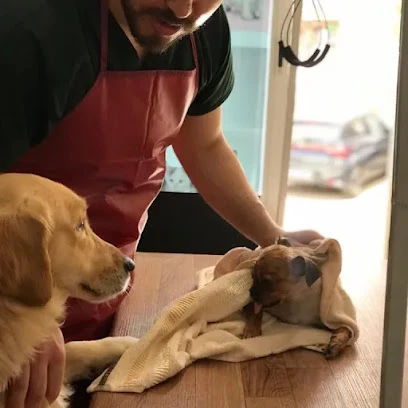 Mutlu Kuyruklar Veteriner Kliniği Mutlu Kuyruklar Veteriner Kliniği