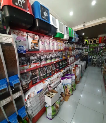 My Jumbo Petshop ( Alo Mama ) My Jumbo Petshop ( Alo Mama )
