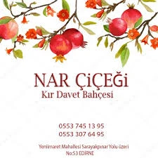 Narçiçeği Kır Bahçesi Narçiçeği Kır Bahçesi