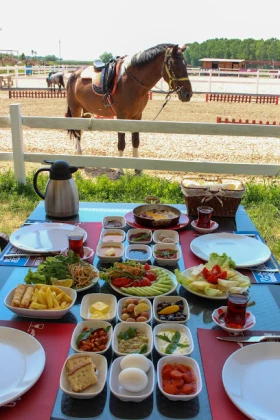 Nilüfer Atlı Spor Kulübü Nilüfer Atlı Spor Kulübü