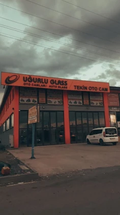 Olimpia Oto Cam-Tekin Cam