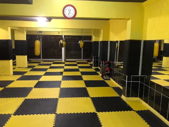 Ölmez Kick Boks Spor Kulübü Ölmez Kick Boks Spor Kulübü