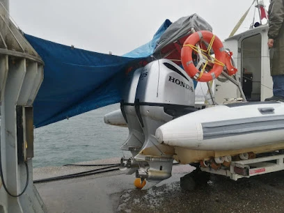 Ops Marine Ops Marine