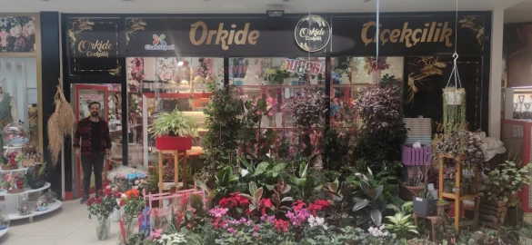 Orkide Çiçekçilik Orkide Çiçekçilik
