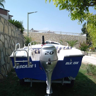 Orsa Marin Orsa Marin