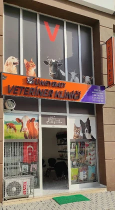 Ortaca Güneybatı Veteriner Kliniği Ortaca Güneybatı Veteriner Kliniği