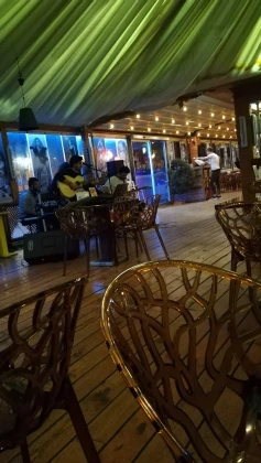 Own Kafe Bar Own Kafe Bar