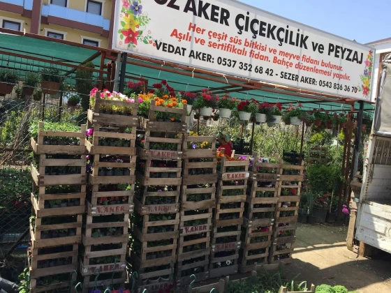 Öz Aker Çiçekcilik & Fidancılık Ve Peyzaj Öz Aker Çiçekcilik & Fidancılık Ve Peyzaj