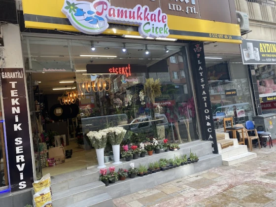 Pamukkale Çiçek / Denizli Pamukkale Çiçek / Denizli