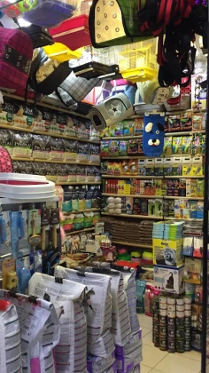 Pet House Tunalı Hilmi - Pet Shop Tunalı Hilmi Pet House Tunalı Hilmi - Pet Shop Tunalı Hilmi