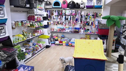 Pet Queen Petshop Pet Queen Petshop