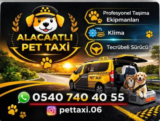 Pet Taxi Nakil