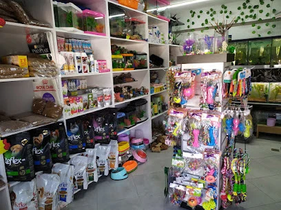 Pet48 - Petshop Marmaris Pet48 - Petshop Marmaris