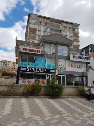 Petkey Veteriner Kliniği Petkey Veteriner Kliniği