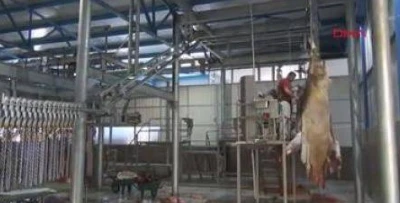 Piar Grup Kuyumculyk İnşaat Yatırım A.ş