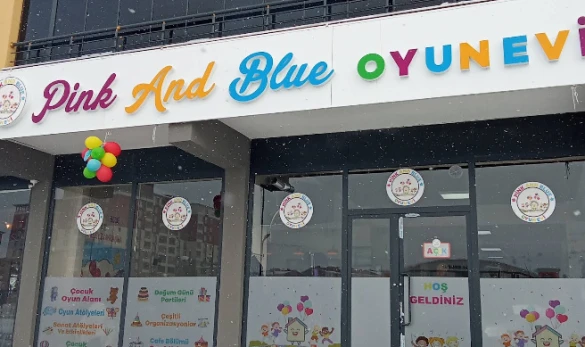 Pink And Blue Oyun Evi