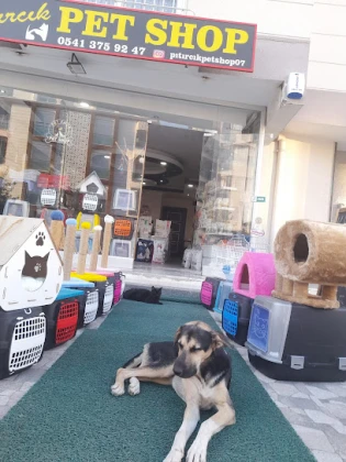 Pıtırcık Pet Shop Pıtırcık Pet Shop