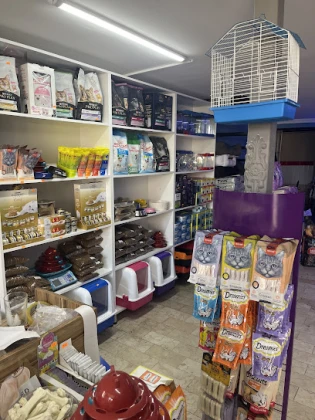 Poni Petshop Poni Petshop