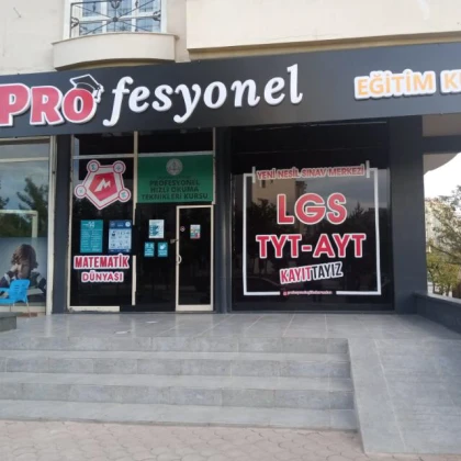 Profesyonel Eğitim Kurumu Profesyonel Eğitim Kurumu