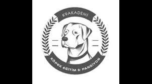 Proteo K9 Akademi | Pet Otel Proteo K9 Akademi | Pet Otel