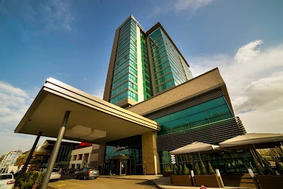 Radisson Blu Hotel, Kayseri Radisson Blu Hotel, Kayseri