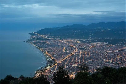 Radisson Blu Hotel, Ordu Radisson Blu Hotel, Ordu