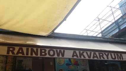 Rainbow Akvaryum Rainbow Akvaryum
