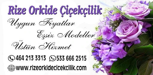 Rize Orkide Çiçekcilik Rize Orkide Çiçekcilik