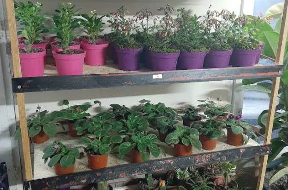 Saklı Bahçe Peyzaj