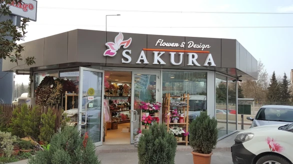 Sakura Çiçek Sakura Çiçek