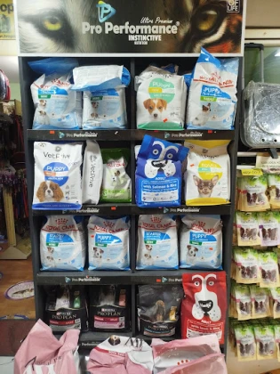 Salih Trabzon Akvaryum Pet Shop Galerisi Salih Trabzon Akvaryum Pet Shop Galerisi