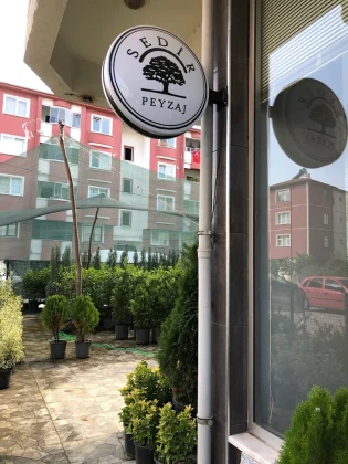Sedir Peyzaj Sedir Peyzaj