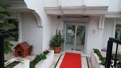 Şenlikköy Veteriner Kliniği Şenlikköy Veteriner Kliniği
