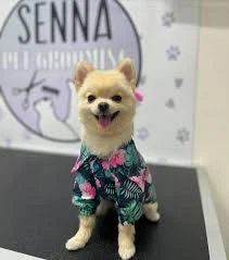 Senna Pet Kuaför&Petshop Senna Pet Kuaför&Petshop