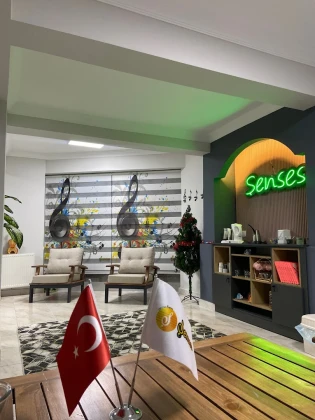 Şenses Müzik Sanat Akademi Okulu Şenses Müzik Sanat Akademi Okulu