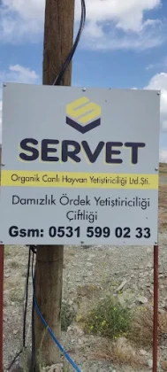 Servet Organik Servet Organik