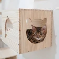 Sevimli Patiler Pet Kuaförü-Pet Hotel Sevimli Patiler Pet Kuaförü-Pet Hotel
