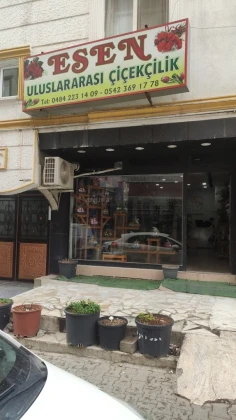 Siirt Esen Çiçekçilik Siirt Esen Çiçekçilik