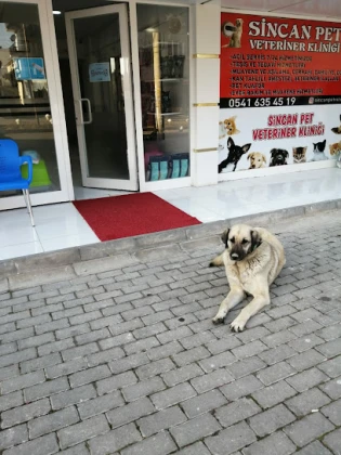 Sincan Pet Veteriner Kliniği Sincan Pet Veteriner Kliniği