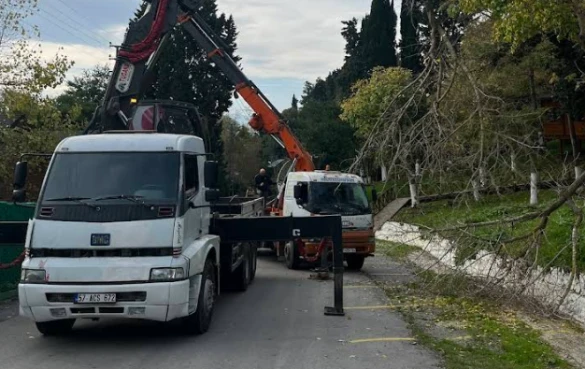 Sinop Göktuğ Vinç Foklift Konteyner