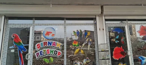 Şırnak Petshop