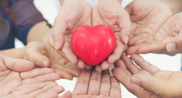 Sosyal Yardımlaşma Ve Dayanışma Vakfı Ordu