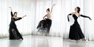Swan Fashion Swan Fashion