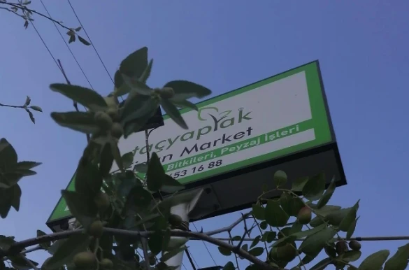 Taçyaprak Fidan Market