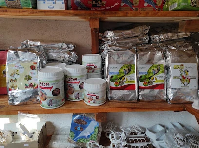 Talha Petshop Talha Petshop