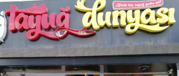 Tayuğ Dünyası Bayburt