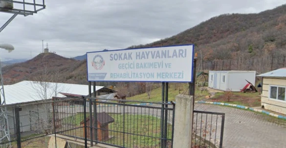 Tunceli Belediyesi Hayvan Barınağı